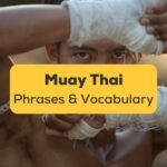Muay Thai Phrases Vocabulary-ling-app-Thai boxer