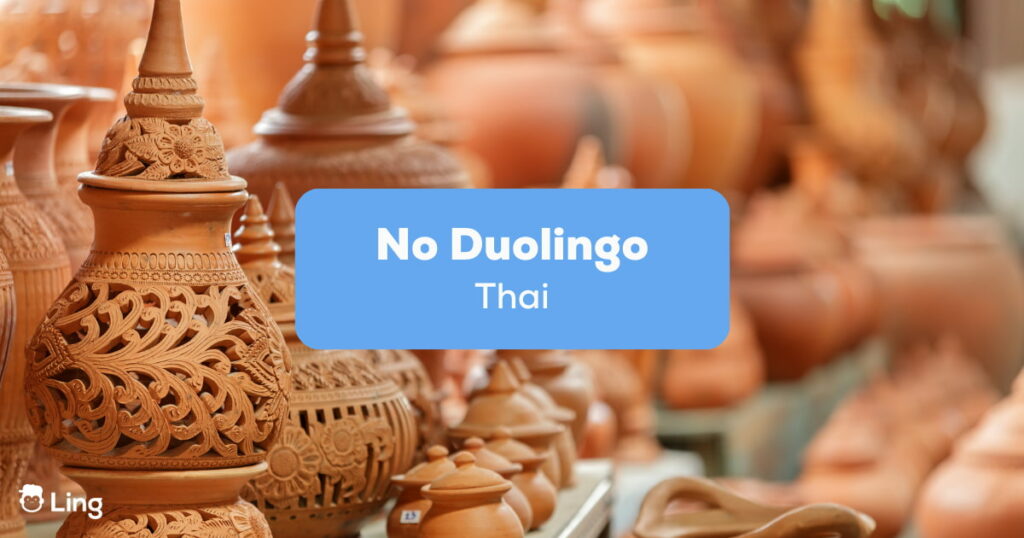 No Duolingo Thai