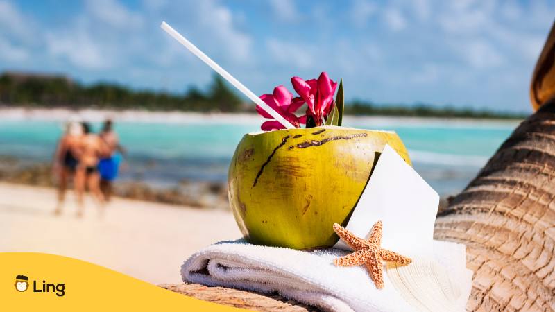 Kokosnuss mit einem Strohhalm sthet auf einer Palme am Strand von Thailand