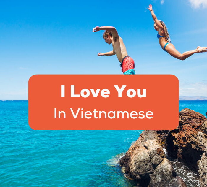 I Love You In Vietnamese