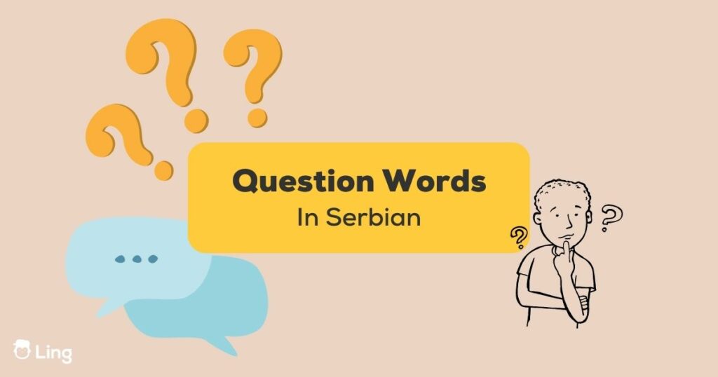 Question Words in Serbian