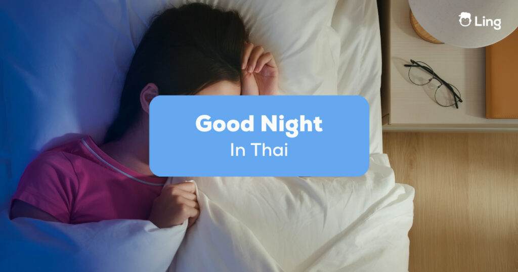 Good Night In Thai