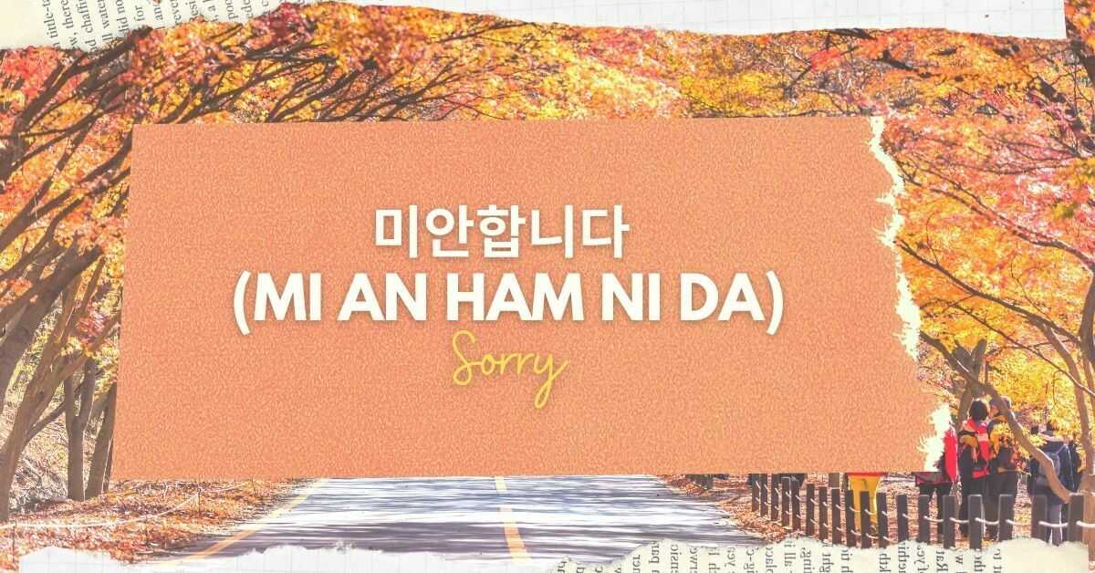 I'm sorry in korean