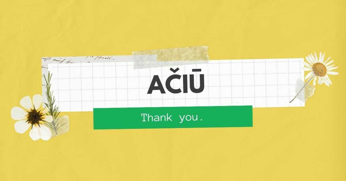 10 Wonderful Ways To Say Thank You In Lithuanian Ling App