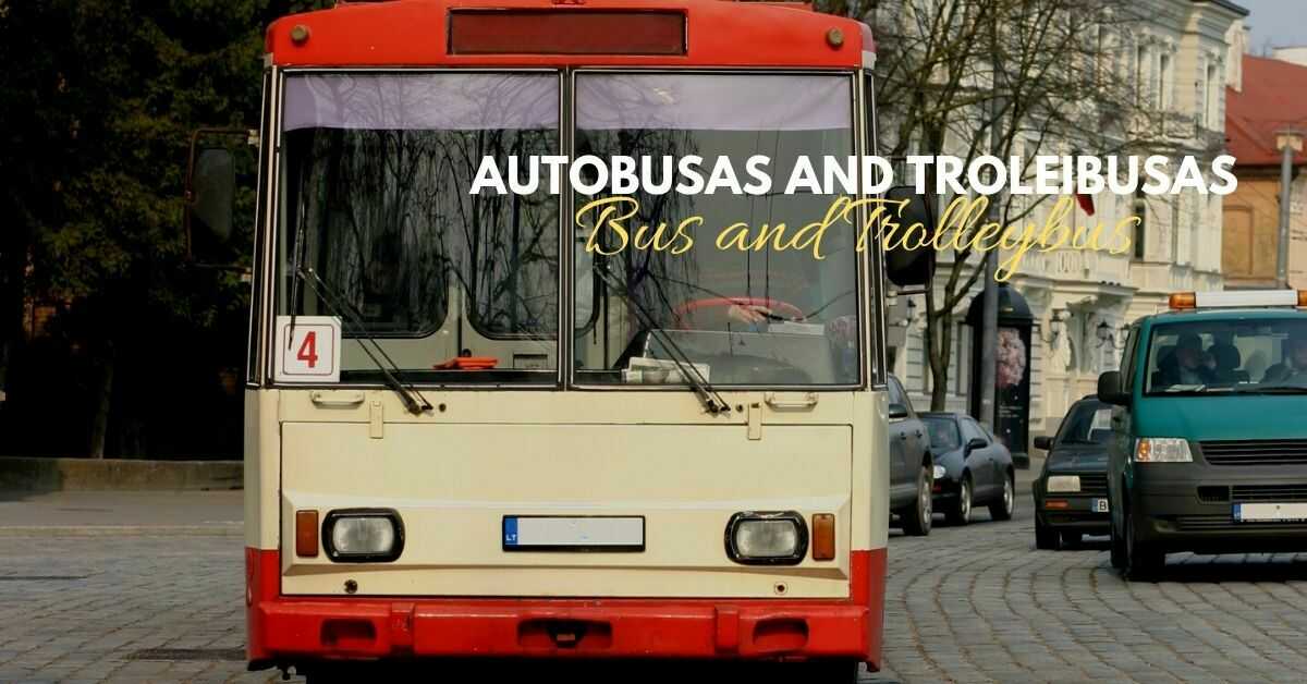 Lithuanian Vocabulary About Transportation | Bus
