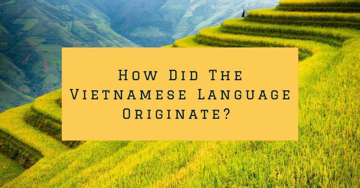 Vietnamese Language History