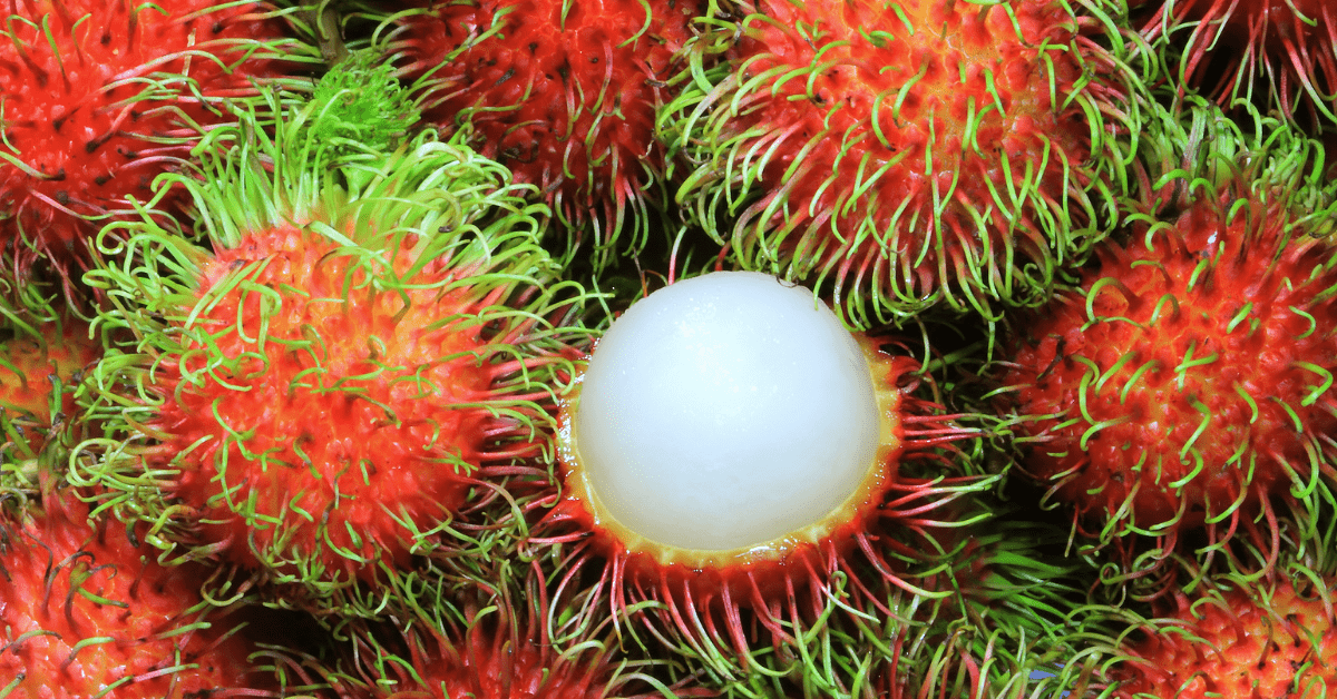 Früchte auf Thailändisch - Frucht mit weißem Fruchtfleisch