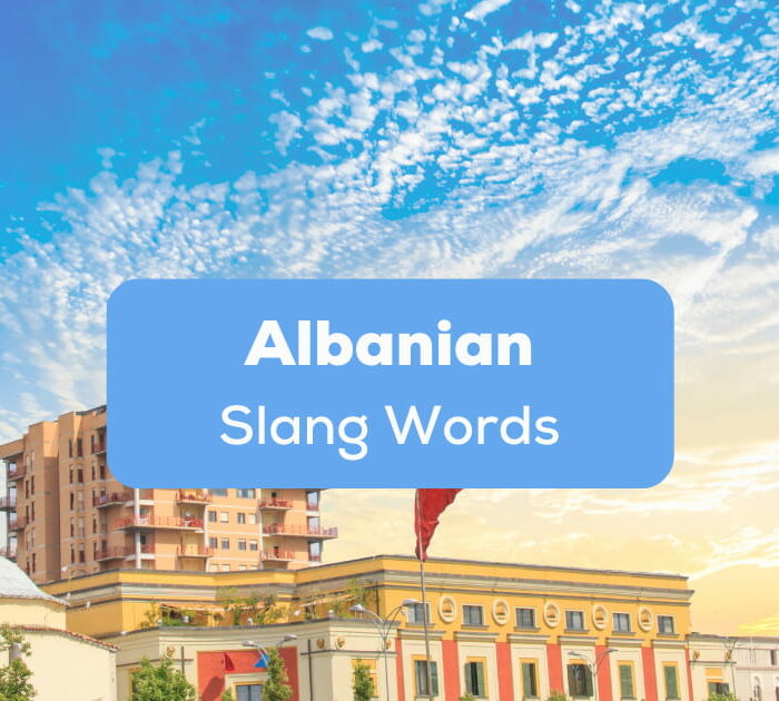 Albanian Slang Words
