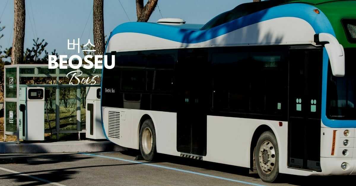 Korean Vocabulary About Transportation | Bus 버스