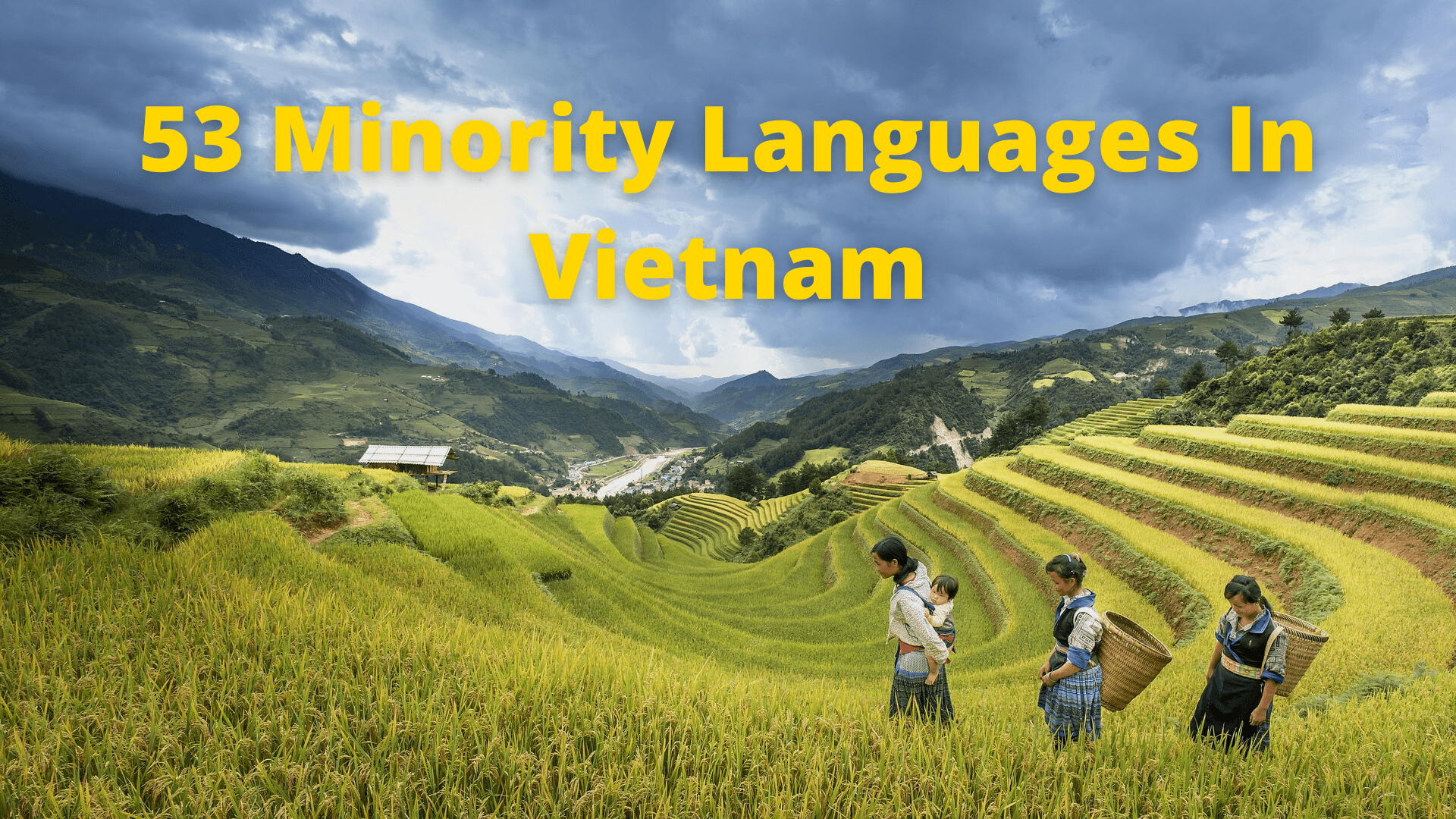 spoken languages in vietnam
