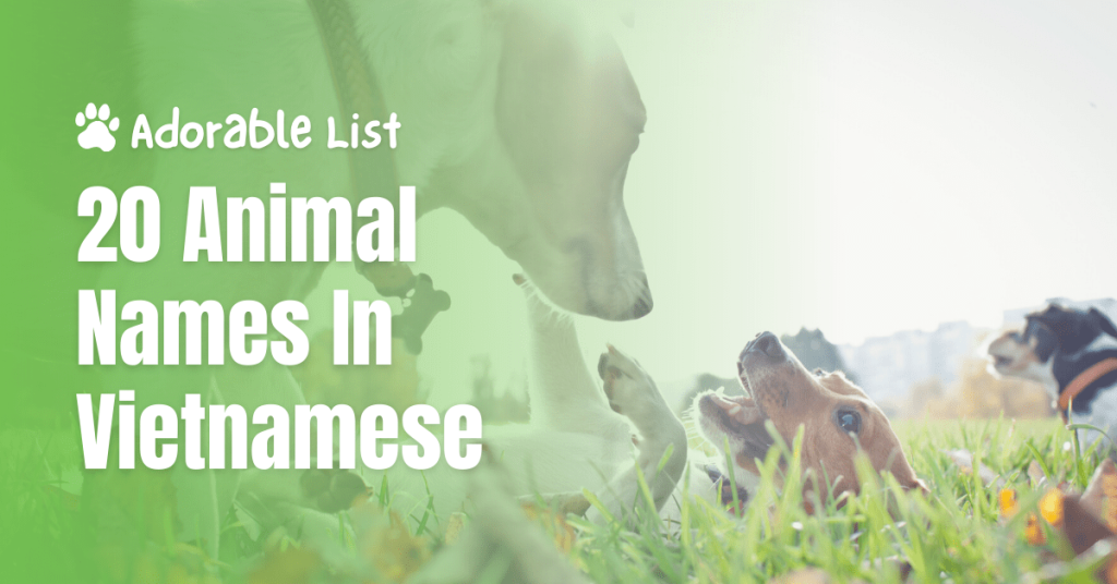Adorable List: 20 Animal Names In Vietnamese - Ling App