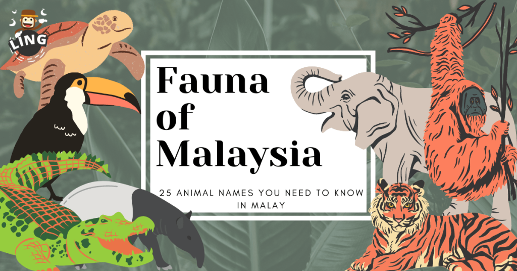 25 Captivating Names Of Animal In Malay - Ling App