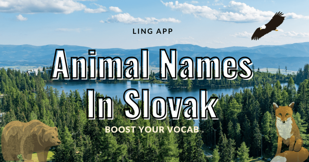 6 Rare Animal Names In Slovak: Boost Your Vocab - Ling App
