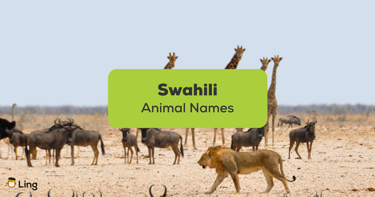 8 Interesting Swahili Animal Names - Ling App