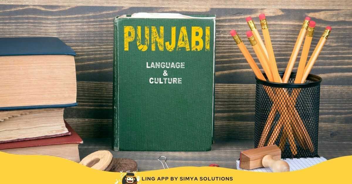 Why You Should Learn Punjabi Language