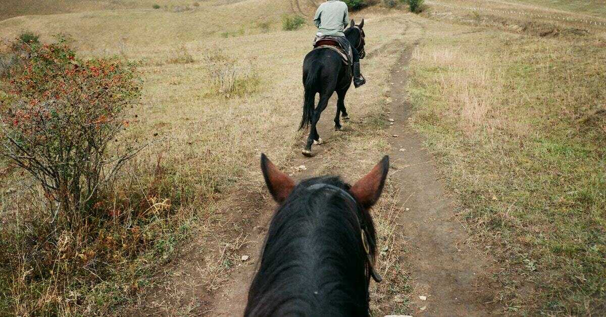 common Albanian verbs- Horse Riding