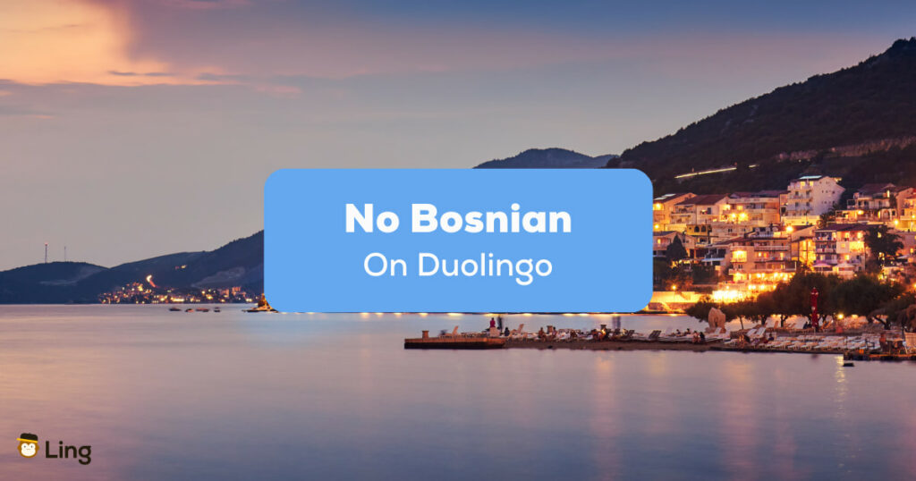 No Bosnian On Duolingo
