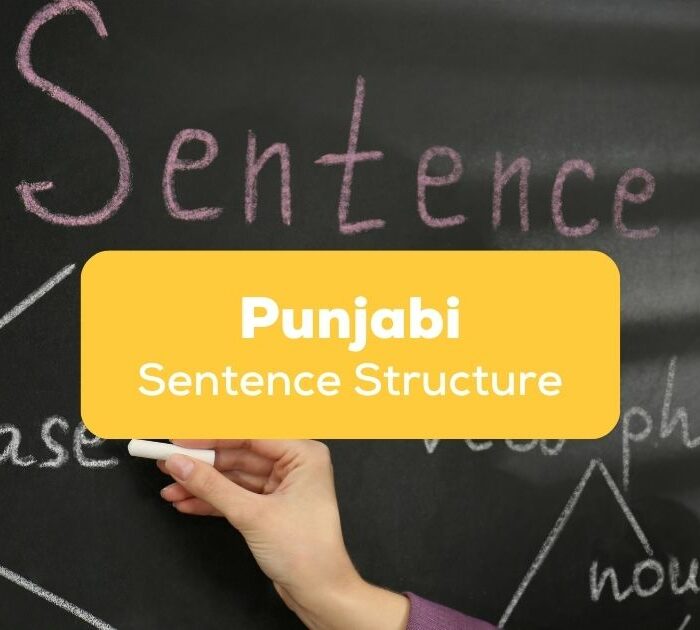 Punjabi sentence structure