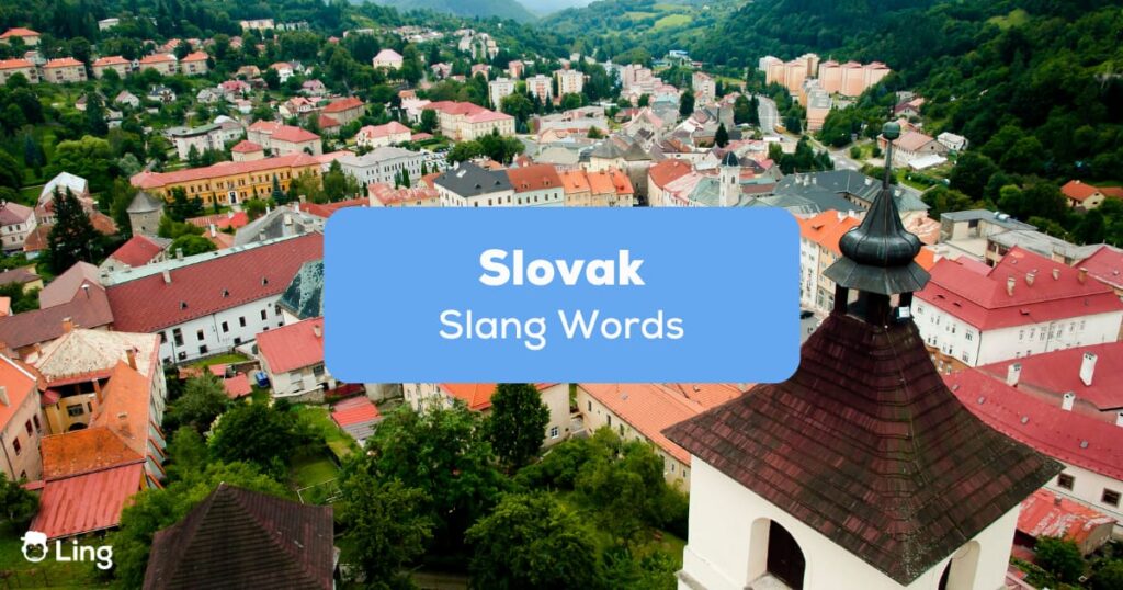 Slovak Slang Words