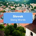 Slovak Slang Words