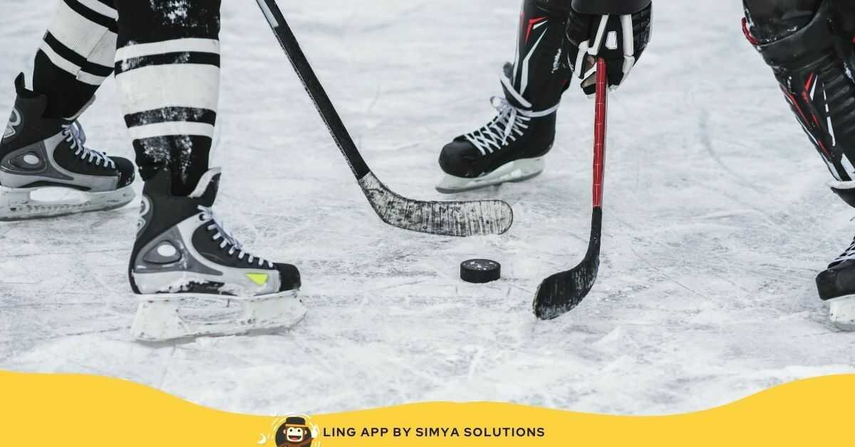 Sports In Slovakia_ ice hockey
