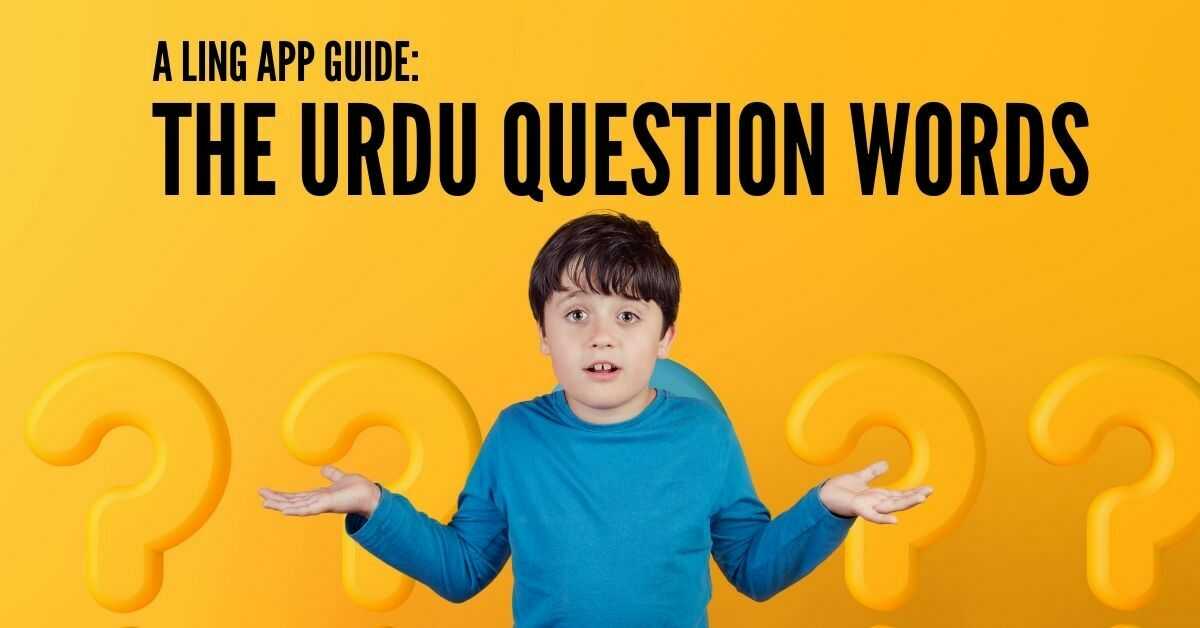 Urdu Question Words With Useful Examples Ling App