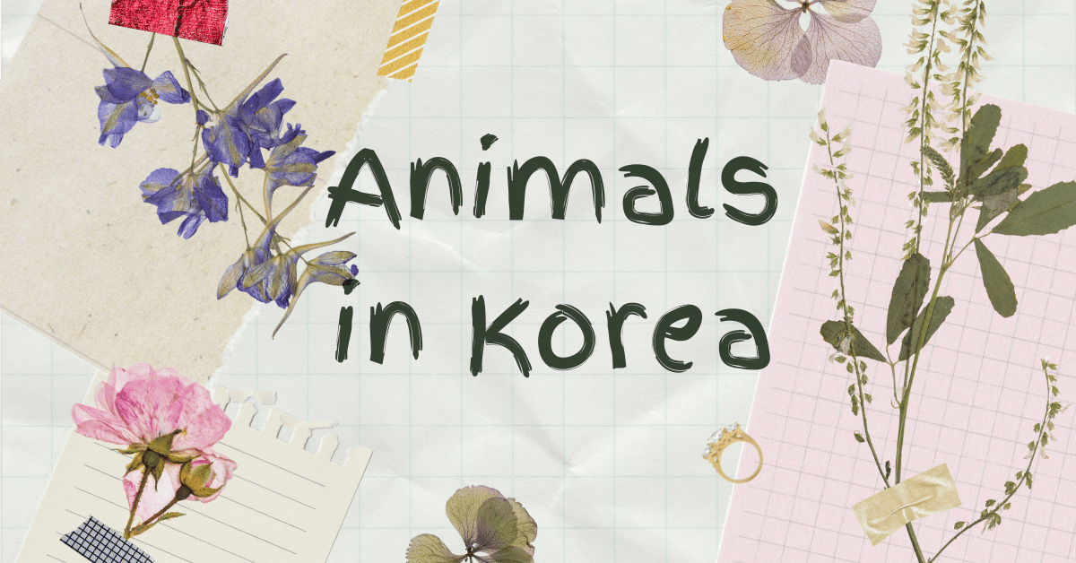 korean animal names