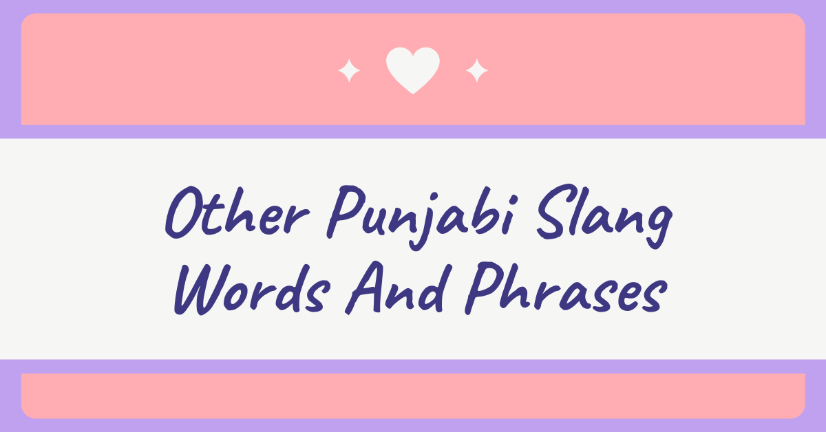 Punjabi Slang Words