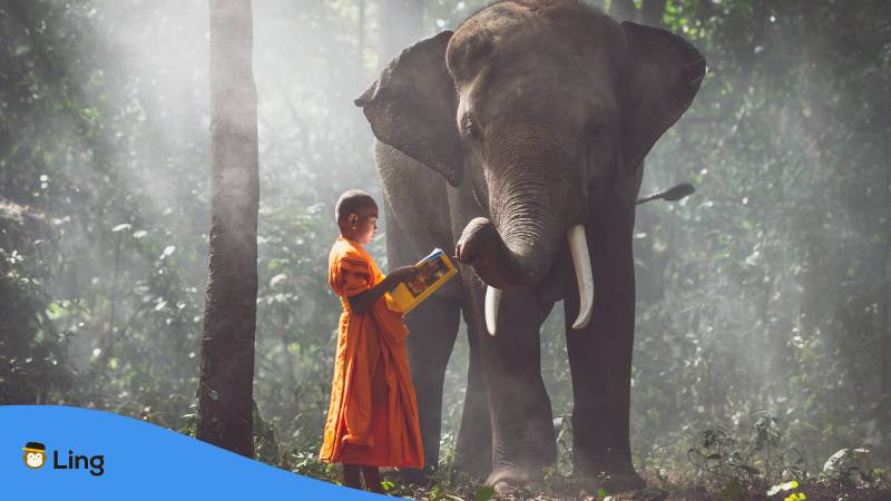 Junger Mönch liest einem Elefanten aus einem Buch im Wald in Thailand vor