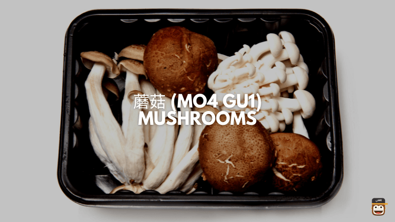 蘑菇 (Mo4 Gu1) - Mushrooms