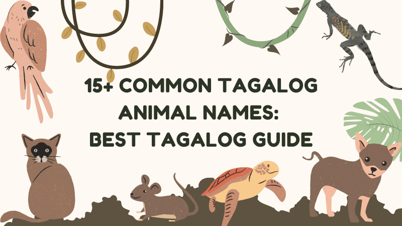 15+ Common Tagalog Animal Names: An Easy List - Ling App