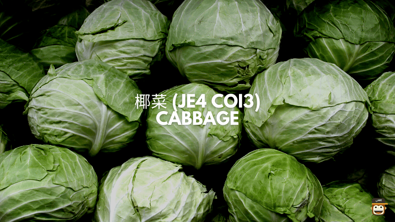 椰菜 (Je4 Coi3) - Cabbage