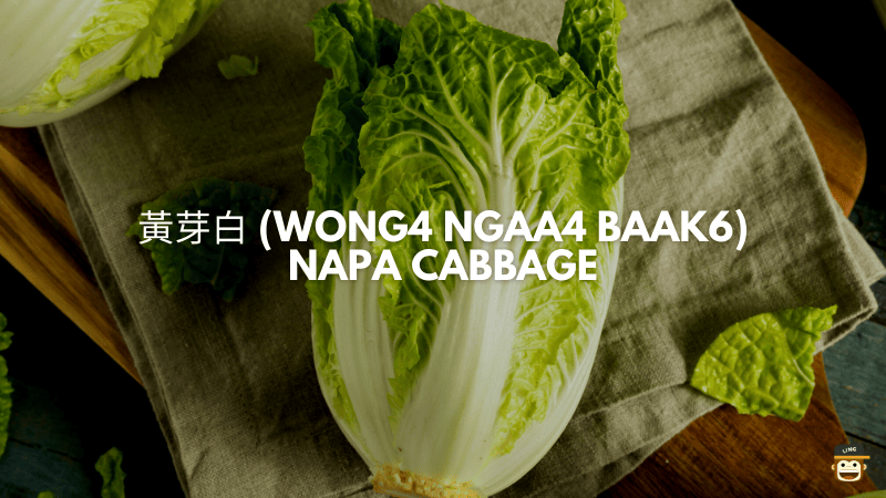 黃芽白 (Wong4 Ngaa4 Baak6) - Napa Cabbage