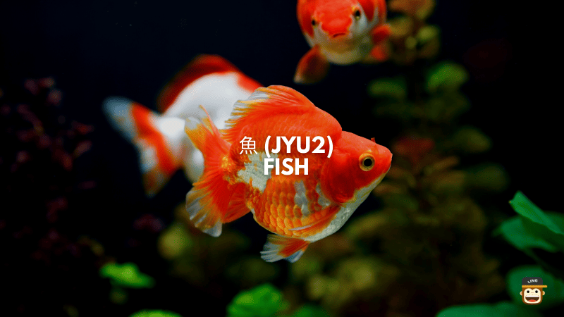 Fish - 魚 (Jyu2)