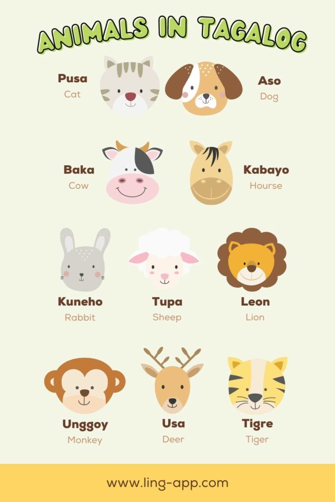 Learn the names for Animals in Tagalog witht the Ling app