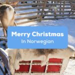 Merry Christmas In Norwegian