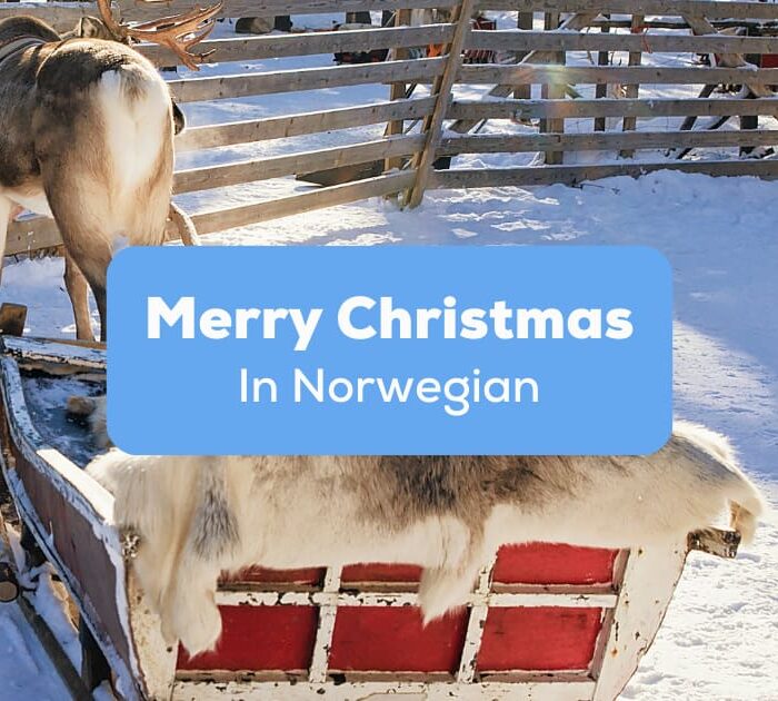 Merry Christmas In Norwegian