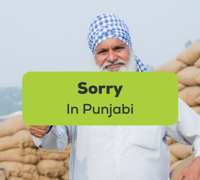 Sorry In Punjabi