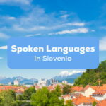 Spoken Languages Of Slovenia