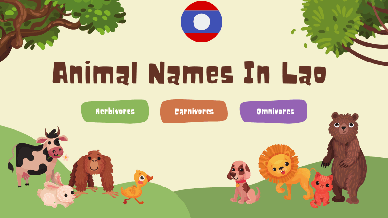 Animal Names In Lao: 27 Popular Examples - Ling App