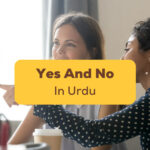 Yes And No In Urdu