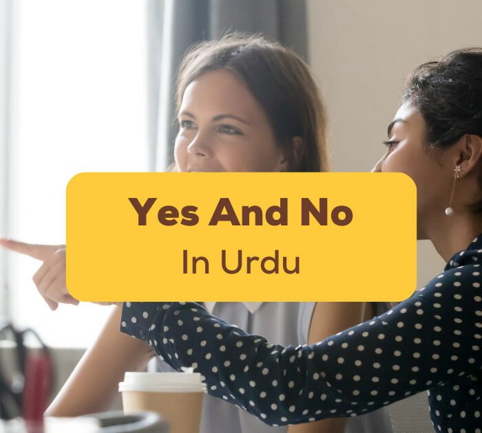 Yes And No In Urdu