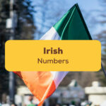 Irish Numbers