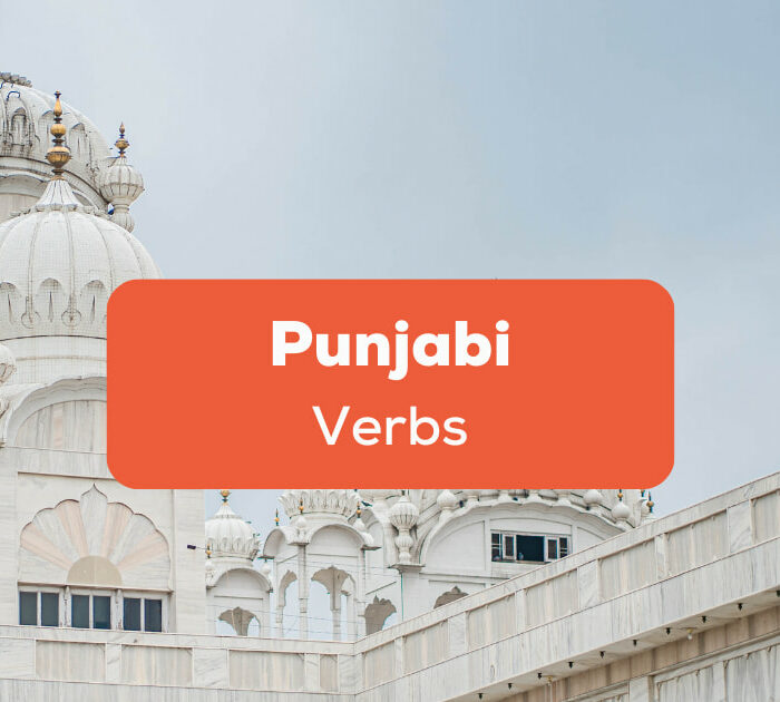 Punjabi Verbs