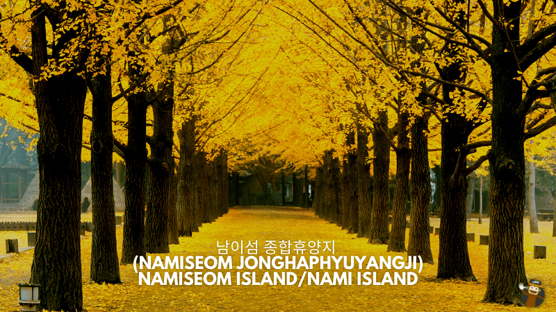  Namiseom Island/Nami Island