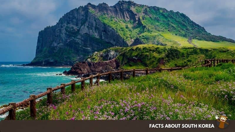 South Korea's Jeju Island Is The Country's Largest Island