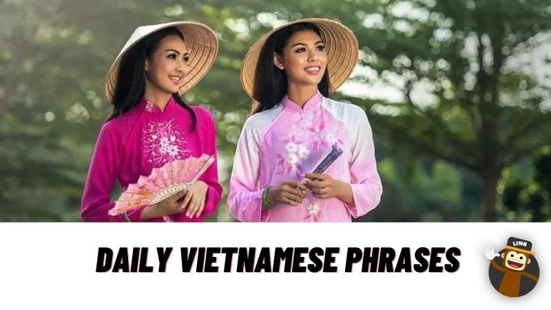 Daily Vietnamese Phrases