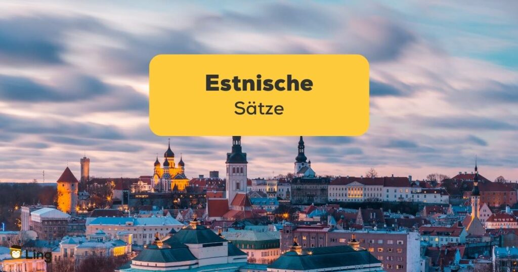 Estnische Stadt, lerne estnische Sätze mit der Ling-App