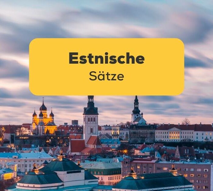 Estnische Stadt, lerne estnische Sätze mit der Ling-App