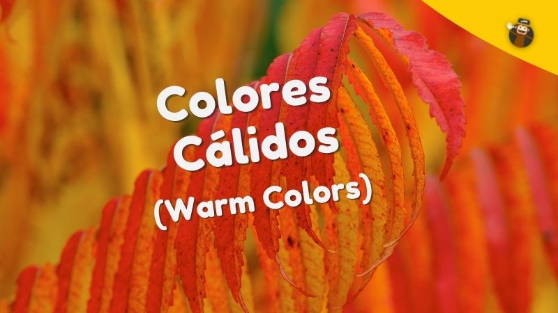 colores cálidos warm colors